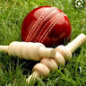 CRICKET KING