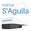 web Institut S'Agulla