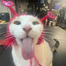 Aston Frikinas