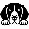 DaneDesigns4u's profile picture