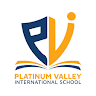 Platinum Valley International School