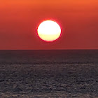 Kullanıcı: Volfgang Amadeus Mozart