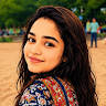 Elephant_3064281