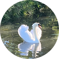 Avatar de Isacoco87.