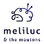 Meliluc and the moutons (Owner)