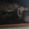 Created by