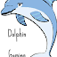 Dolphin Gaming