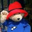 Paddington Ben