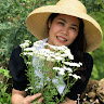 Created by