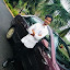 vishnu vardhan (Owner)
