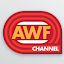 AWF Channel Kraków