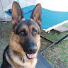 Titanthedoggo