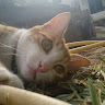 View user_dd7ai1drx9x40nj7's Profile