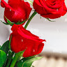 Created by