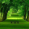 Created by