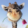 TaeTaesWinter member profile picture