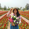 Created by
