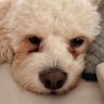 user_cvrw0ex8p203ifj7 member profile picture