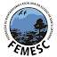 FEMESC Diretoria (Owner)