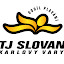 TJ Slovan Karlovy Vary (Owner)