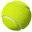 Redlands Racquet Club (Owner)