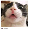 Rangga Tohjaya