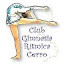 Club Cerro (Owner)