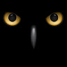 Ilya Polonsky's photo