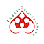 Csalit tábor (Owner)