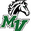 MV Mustangs Swim and Dive (Owner)