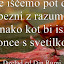 Maša Zemljič