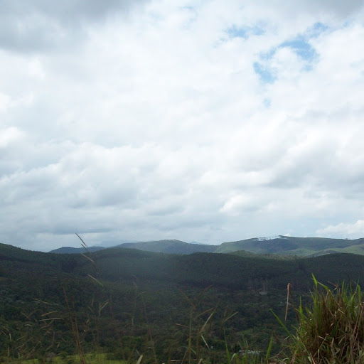 Flávia Almeida (Conduzido)