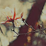 Created by