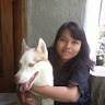 Created by