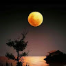Created by