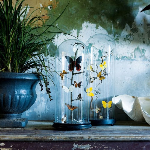 Bruna Barreto (Conduzido)