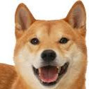 柴原 秀太