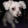 user_oko68nq3kugz9c85 member profile picture
