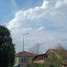 Leyla