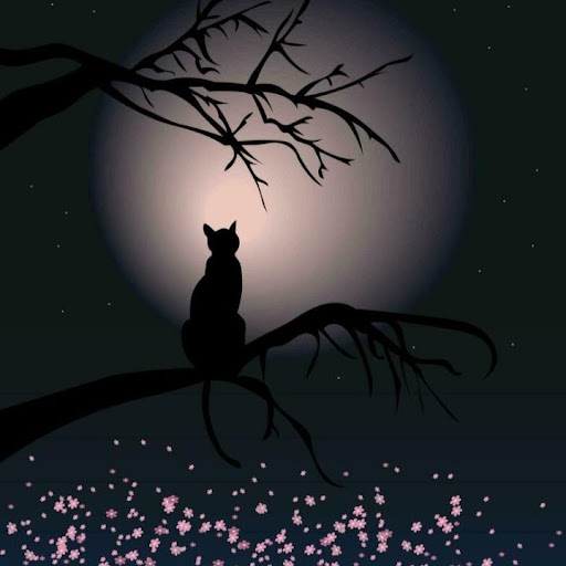 ☆༼⁠✿Maru✿༽☆