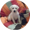 Avatar de Chris.