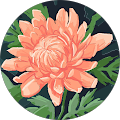 Avatar de Sara.e