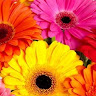 Created by