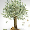 Shekel Mhadash's photo