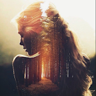 Kullanıcı: Taif Bukhary