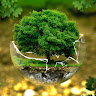 Created by