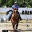 Janet Equestrian