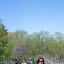 Tracy Zhao (Owner)