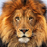 ducerr507's Avatar