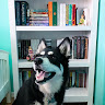 Writer: Book Dragons United